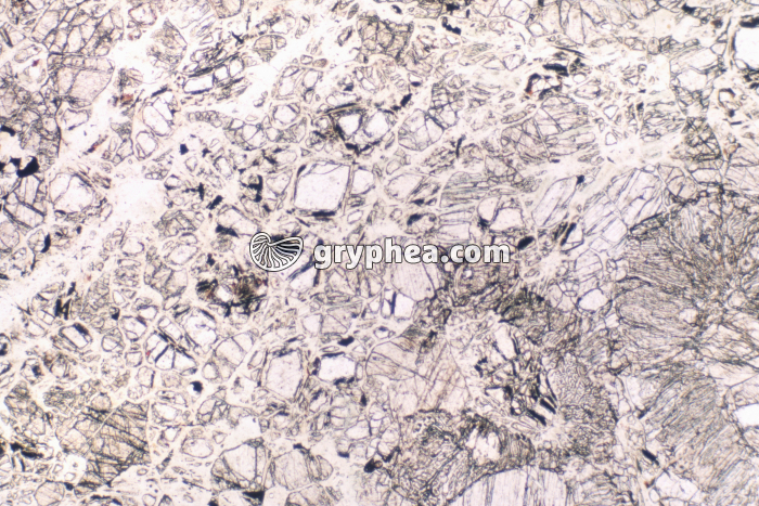 Pyroxénite serpentinisée LPNA x10 - gryphea.com